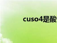 cuso4是酸性还是碱性 cuso4 