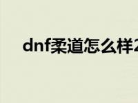 dnf柔道怎么样2020 dnf柔道穿什么甲 