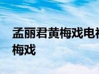 孟丽君黄梅戏电视剧全集播放15集 孟丽君黄梅戏 