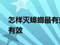 怎样灭蟑螂最有效的方法视频 怎样灭蟑螂最有效 