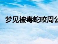 梦见被毒蛇咬周公解梦原版 梦见被毒蛇咬 