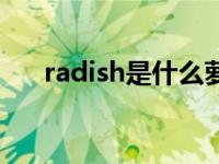 radish是什么萝卜 radish是什么意思 