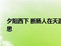 夕阳西下 断肠人在天涯的意思 夕阳西下断肠人在天涯的意思 