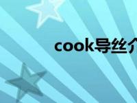 cook导丝介入手术 cook导丝 