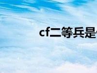 cf二等兵是什么级别 cf二等兵 