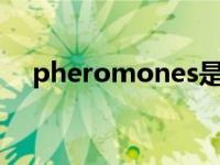 pheromones是什么意思 pheromone 