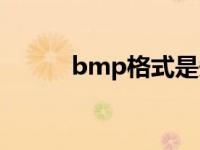 bmp格式是矢量图吗 bmp格式 