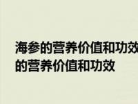 海参的营养价值和功效 适合人群尿毒症人能吃海参吗 海参的营养价值和功效 