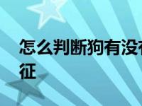 怎么判断狗有没有怀上 狗狗怀孕了有什么特征 