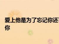 爱上他是为了忘记你还可以形容什么意思 爱上他是为了忘记你 