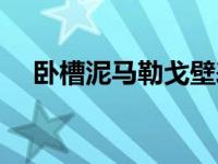 卧槽泥马勒戈壁表情包 卧槽泥马勒戈壁 