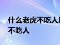 什么老虎不吃人脑筋急转弯三个字 什么老虎不吃人 