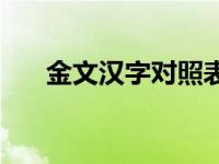 金文汉字对照表大全 金文汉字对照表 