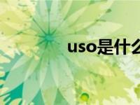 uso是什么品牌 uso是什么 