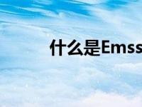 什么是Emss一体化 什么是EMS 