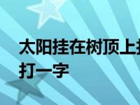 太阳挂在树顶上打一字谜语 太阳挂在树顶上打一字 