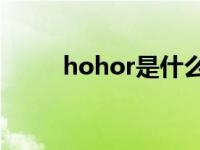 hohor是什么牌子的电脑 HOHO 