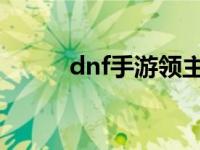 dnf手游领主神器袖珍罐 袖珍罐 