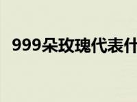 999朵玫瑰代表什么寓意 999朵玫瑰代表什么 