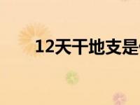 12天干地支是什么意思 12天干地支 