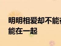 明明相爱却不能在一起的小说 明明相爱却不能在一起 