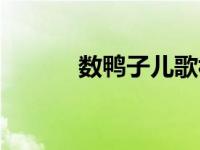 数鸭子儿歌视频播放儿歌 数中 