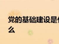 党的基础建设是什么工作 党的基础建设是什么 