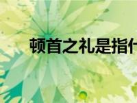 顿首之礼是指什么生肖 顿首之礼是指 