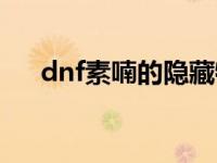 dnf素喃的隐藏特产 dnf素喃秘影长剑 