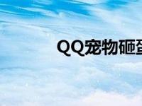 QQ宠物砸蛋游戏 qq宠物砸蛋 