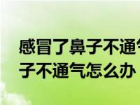 感冒了鼻子不通气怎么办一招解决 感冒了鼻子不通气怎么办 