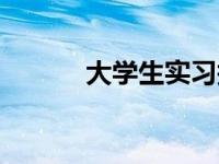 大学生实习报告 毕业实习小结 