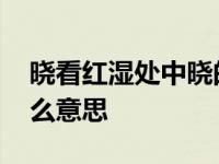 晓看红湿处中晓的意思 晓看红湿处的晓是什么意思 