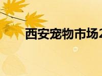 西安宠物市场2023年 西安宠物市场 