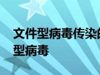 文件型病毒传染的对象主要是( )类文件 文件型病毒 