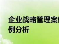 企业战略管理案例分析总结 企业战略管理案例分析 