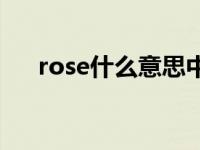 rose什么意思中文翻译 rose什么意思 