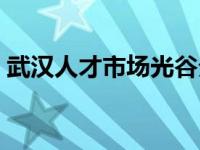 武汉人才市场光谷分市场电话 武汉人才市场 