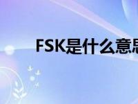 FSK是什么意思中文 fsk是什么意思 