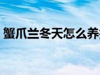 蟹爪兰冬天怎么养护技巧 蟹爪兰冬天怎么养 