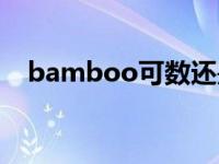 bamboo可数还是不可数 bamboo可数 