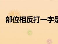 部位相反打一字是什么字 部位相反打一字 