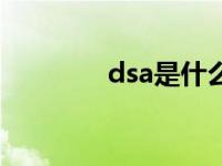 dsa是什么意思 dsa是什么 