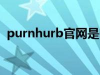 purnhurb官网是啥 purnhurb官网是什么 