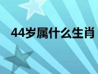 44岁属什么生肖 今年多大了 44岁属什么 