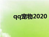 qq宠物2020 qq宠物结婚有什么用 