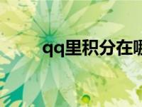 qq里积分在哪里查看 qq积分查询 