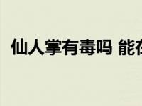 仙人掌有毒吗 能在室内养吗 仙人掌有毒吗 