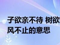 子欲亲不待 树欲静而风不止的意思 树欲静而风不止的意思 