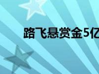 路飞悬赏金5亿是哪一集 路飞悬赏金 